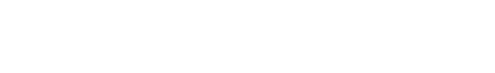 TravelCard